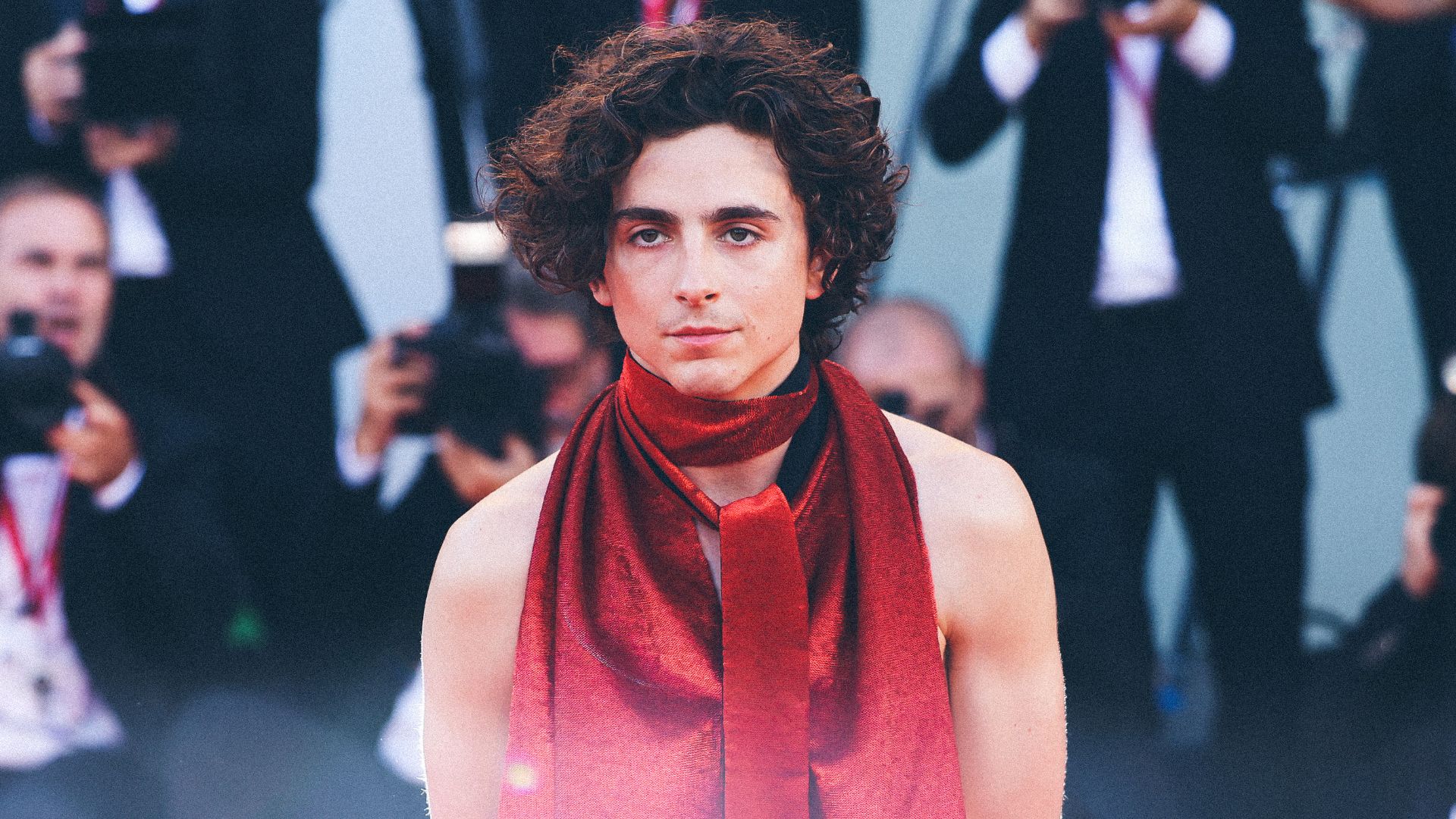 timothee chalamet