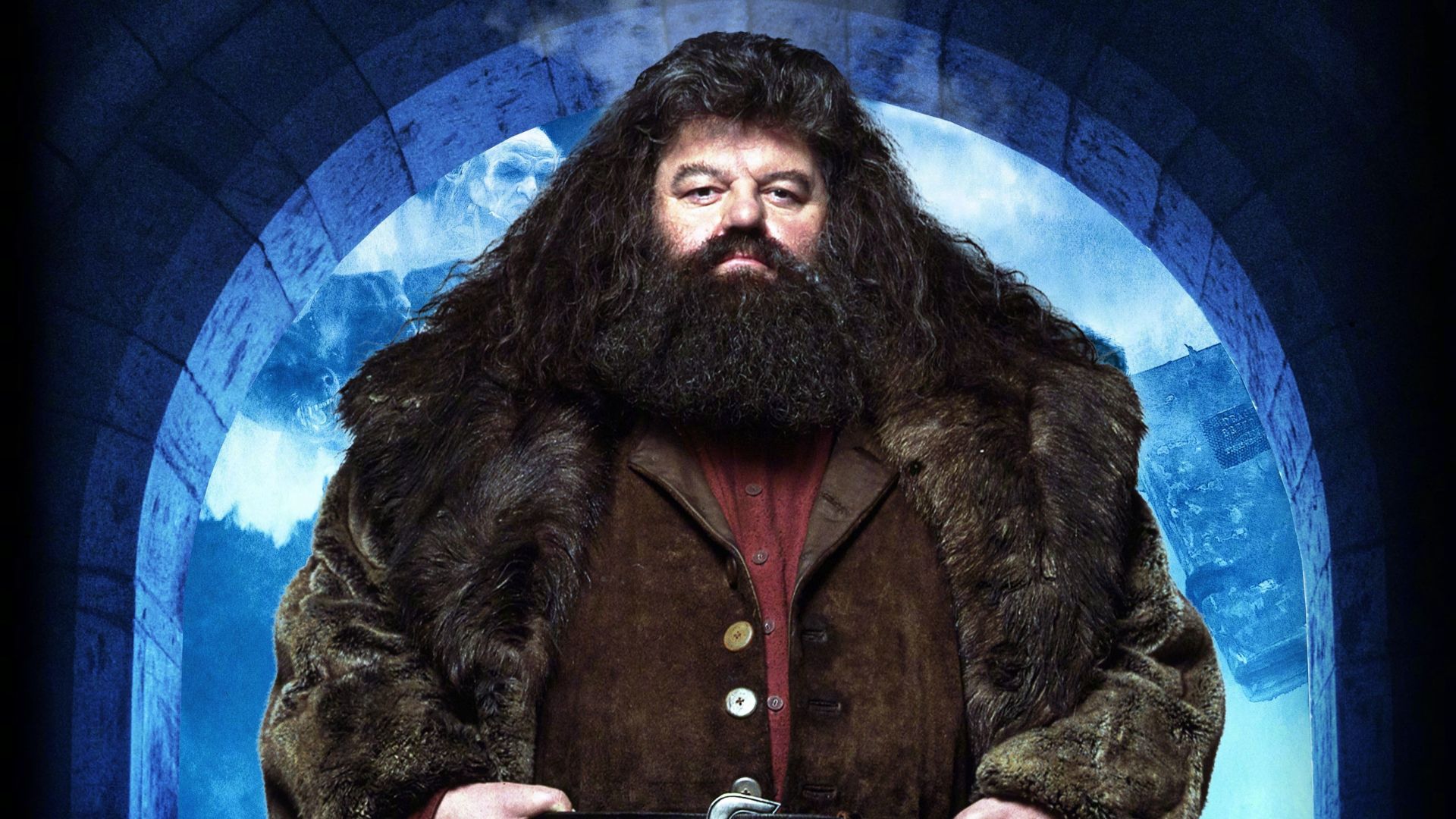 hagrid robbie coltrane