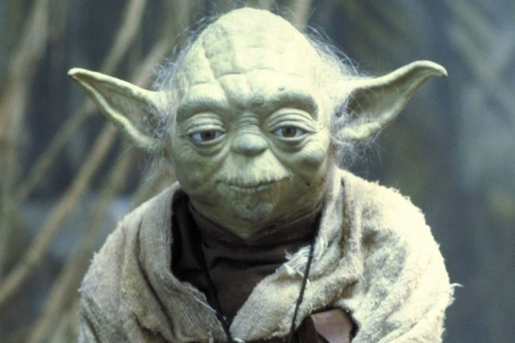 star wars yoda