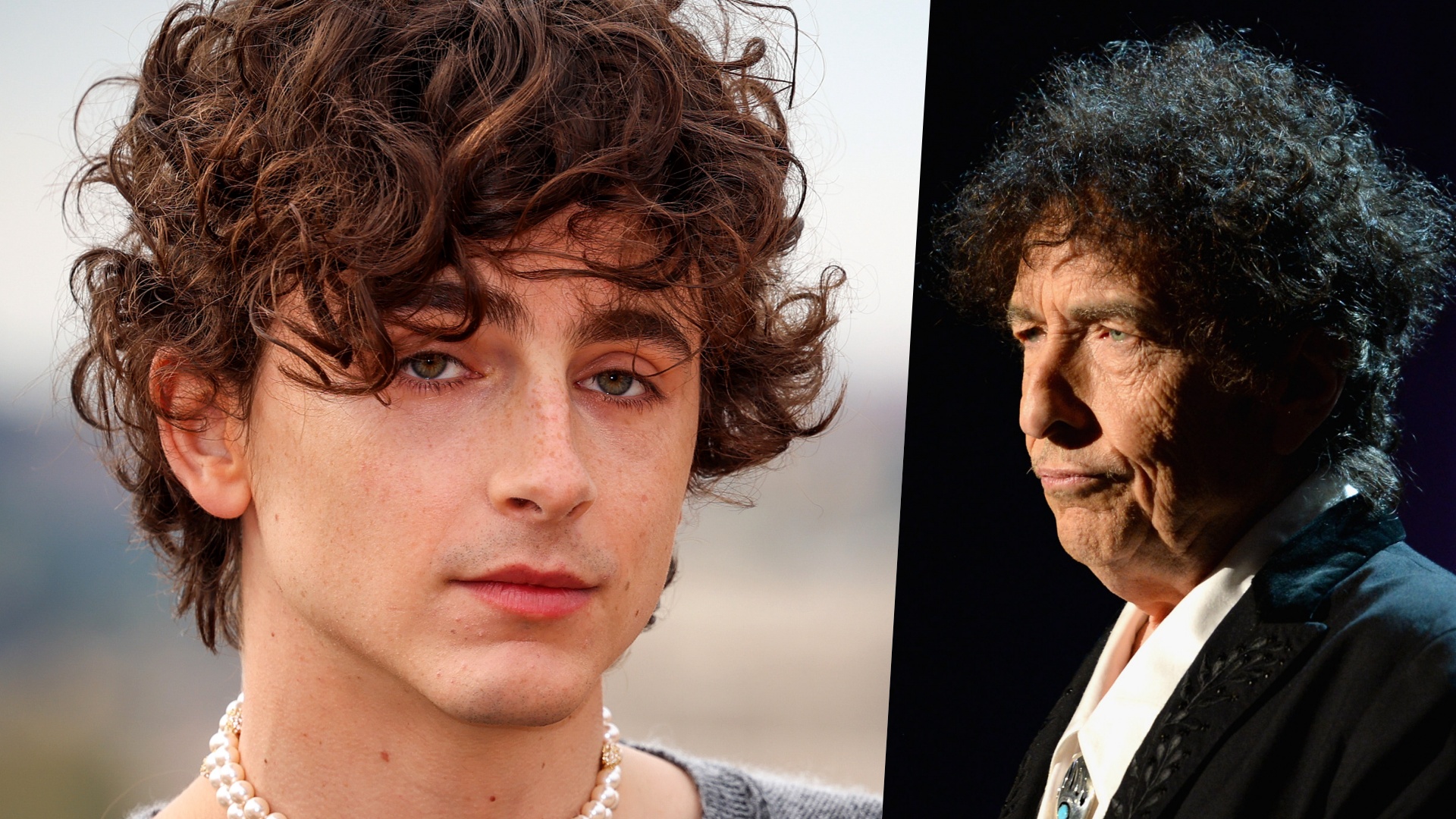 Timothée Chalamet bob dylan