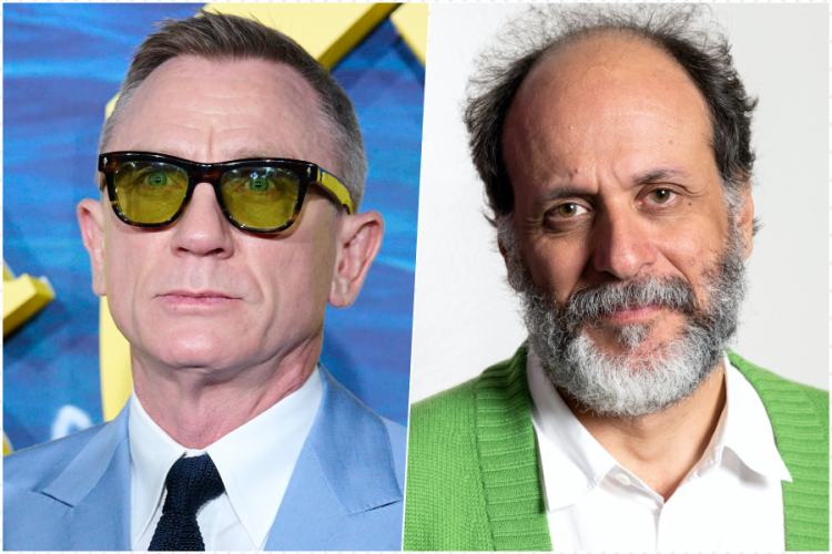 Daniel Craig Luca Guadagnino