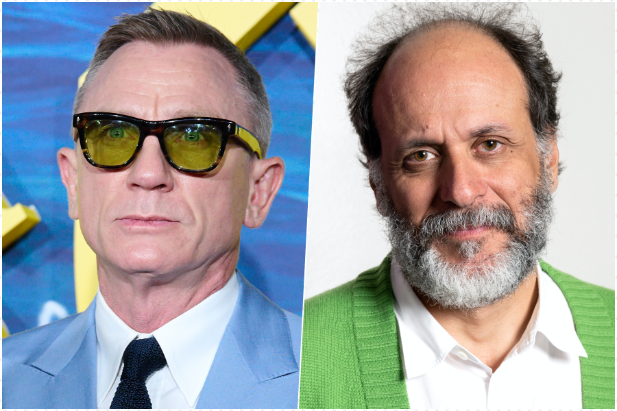 Daniel Craig Luca Guadagnino