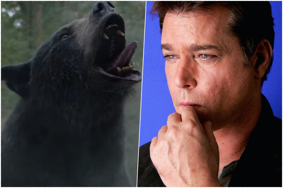 orso Ray Liotta