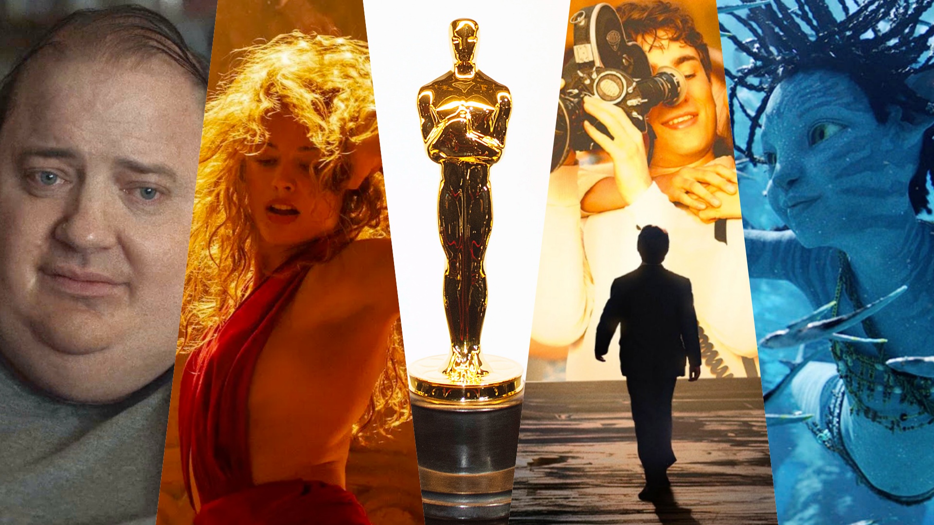 oscar 2023 film candidati