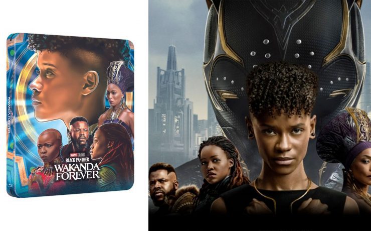 videoteca perfetta black panther