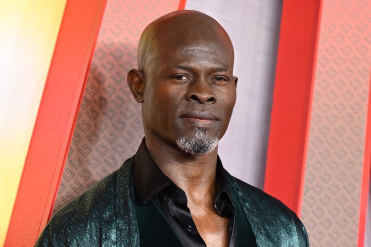 Djimon Hounsou