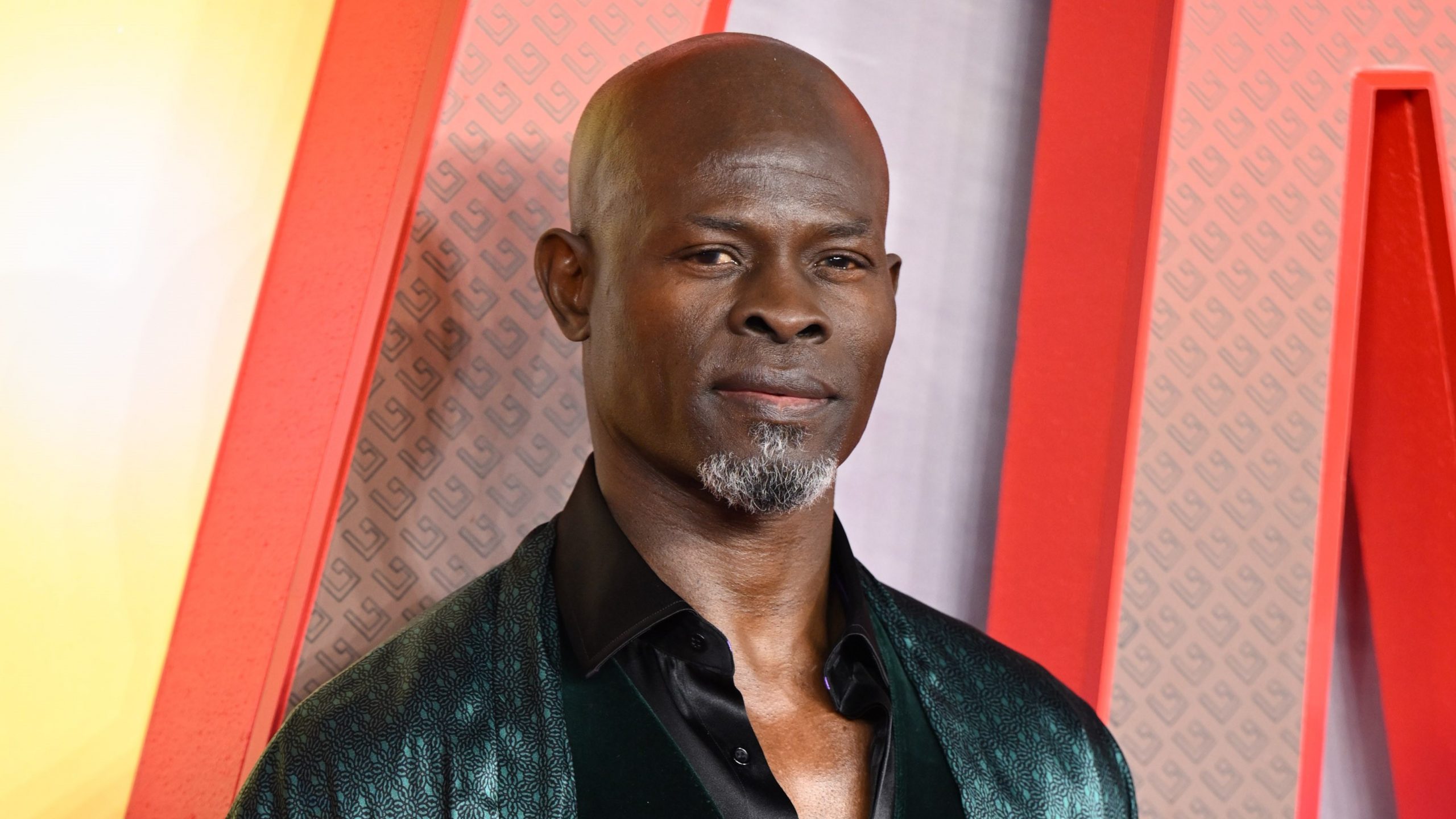 Djimon Hounsou