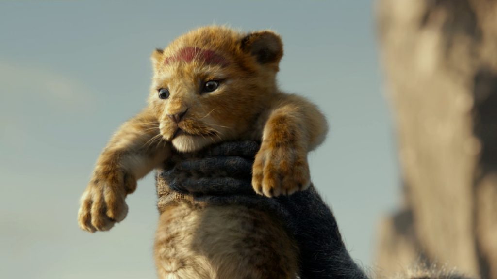 twilight the lion king film di successo che non piacciono a nessuno