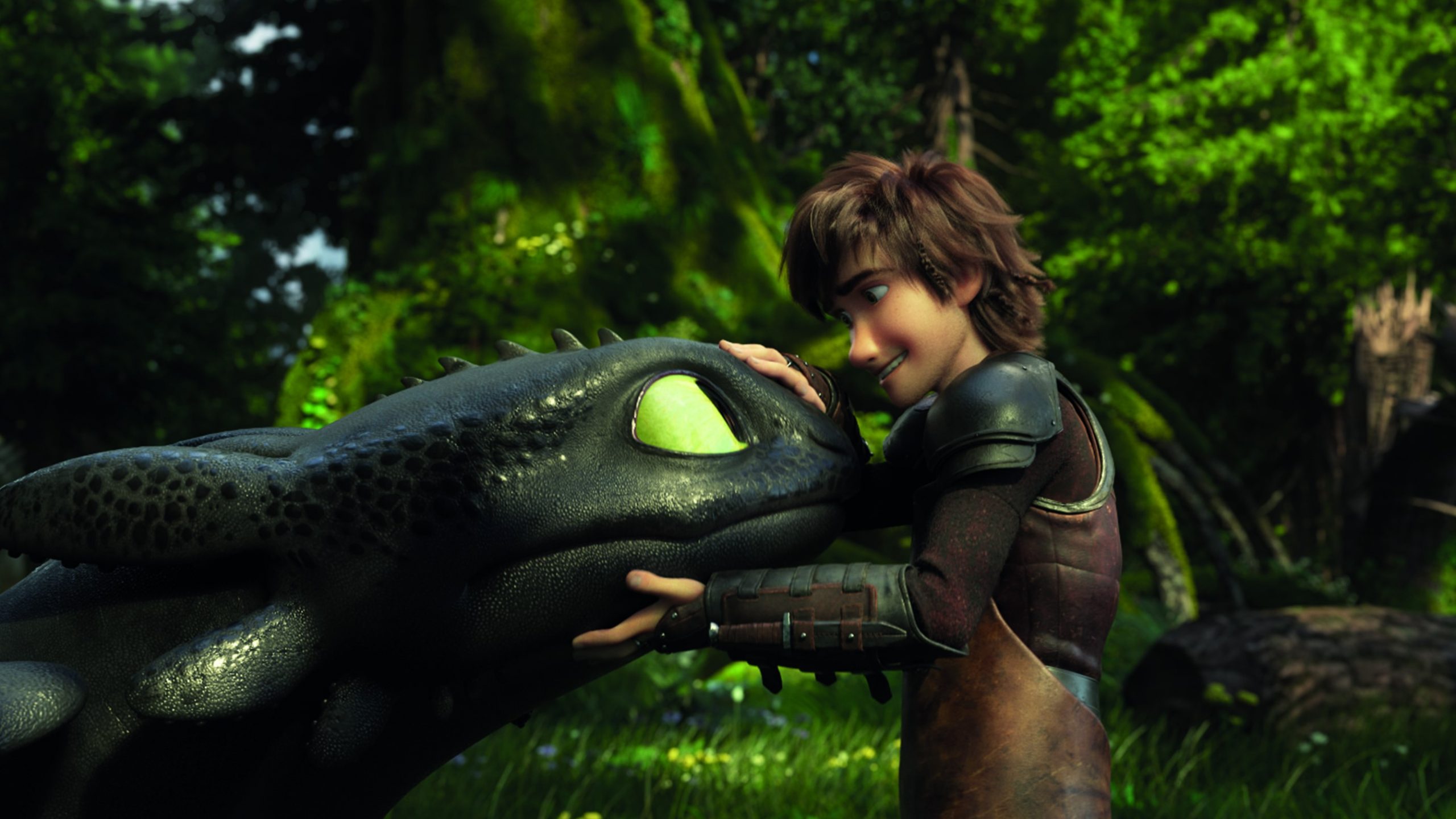 how-to-train-your-dragon