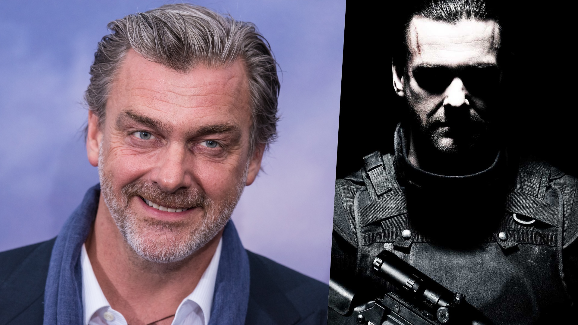 ray stevenson punisher