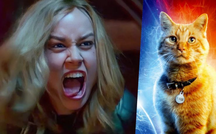 brie larson captain marvel gatto