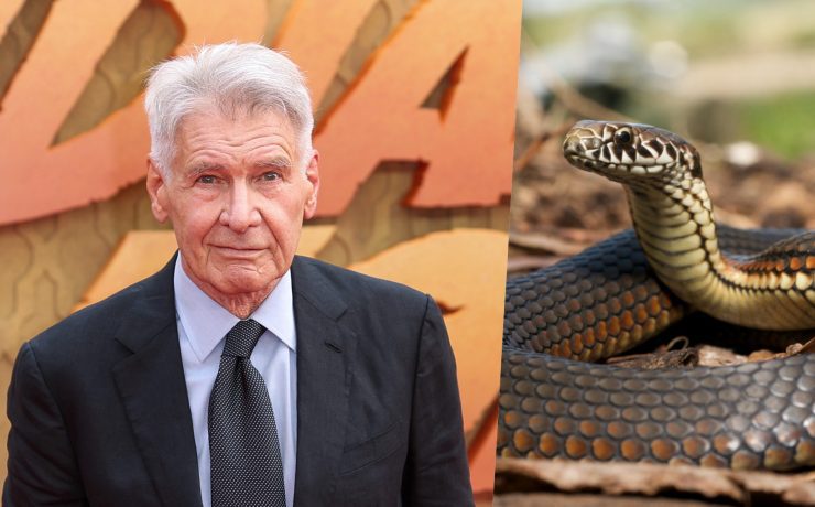 harrison ford serpenti indiana jones