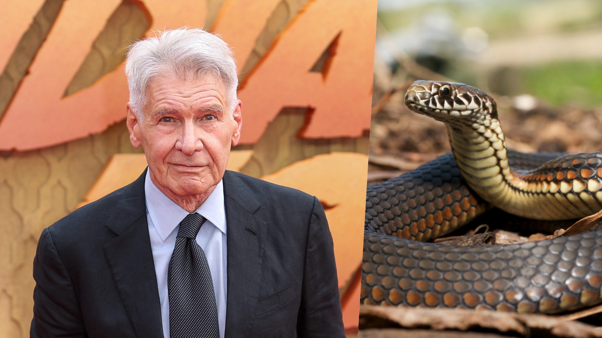 harrison ford serpenti indiana jones