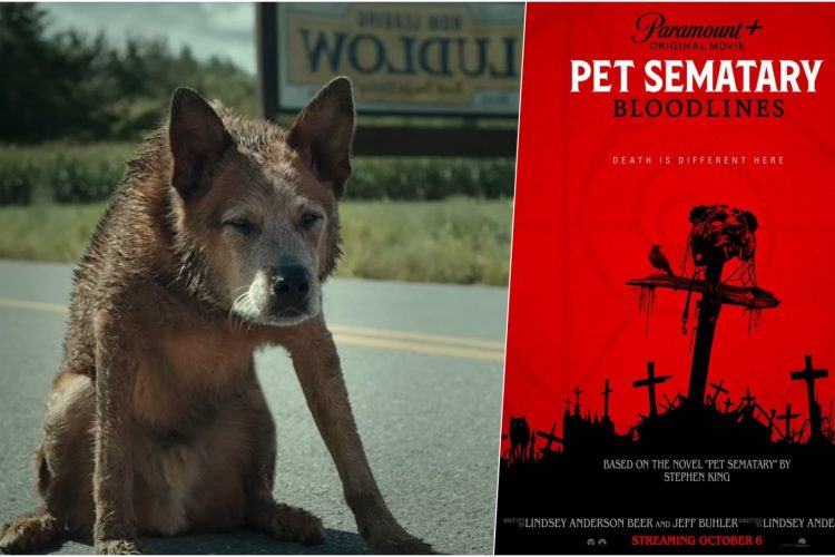 pet sematary: bloodlines