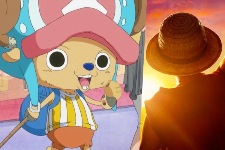 one piece chopper