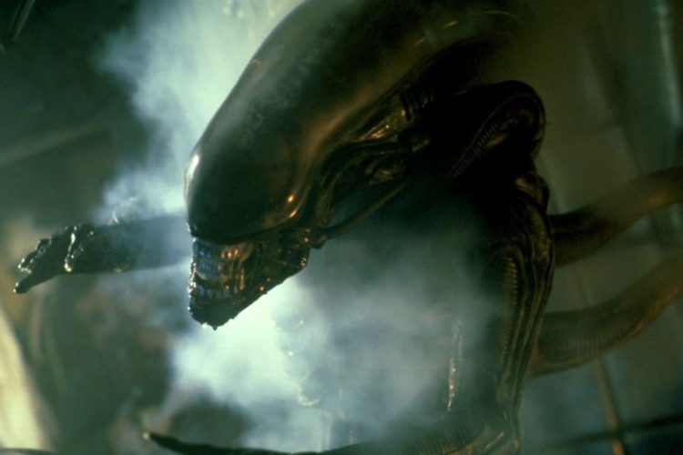 lo xenomorfo di alien