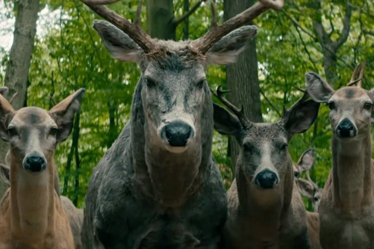 il mondo dietro di te cervi scene