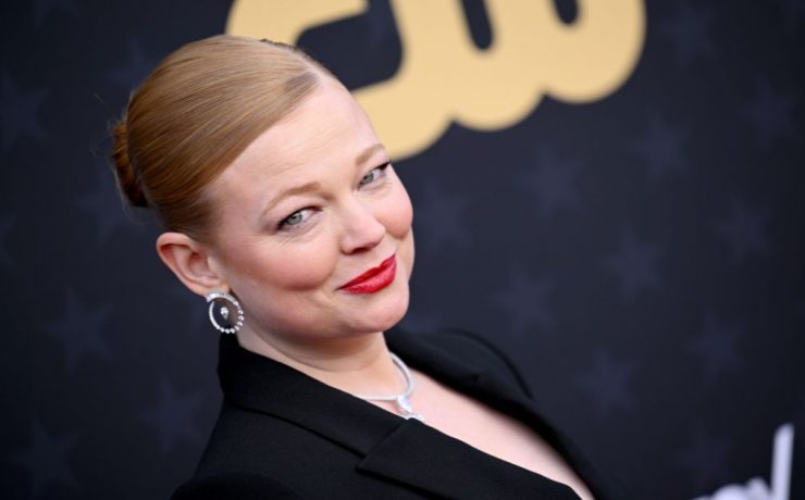 sarah snook succession