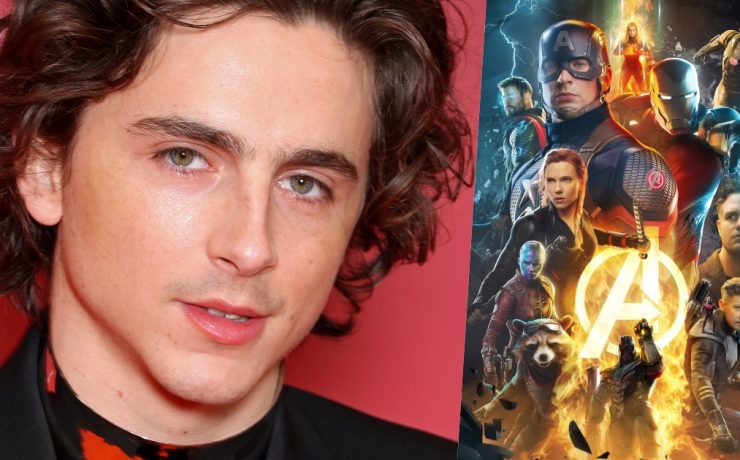 timothee chalamet marvel