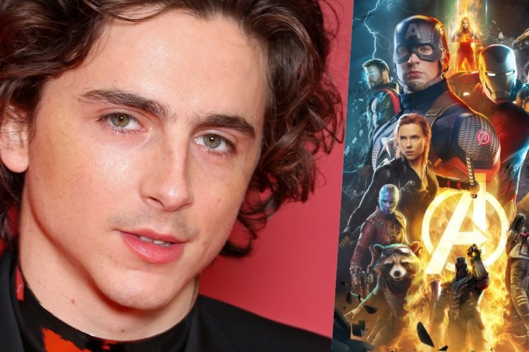 timothee chalamet marvel