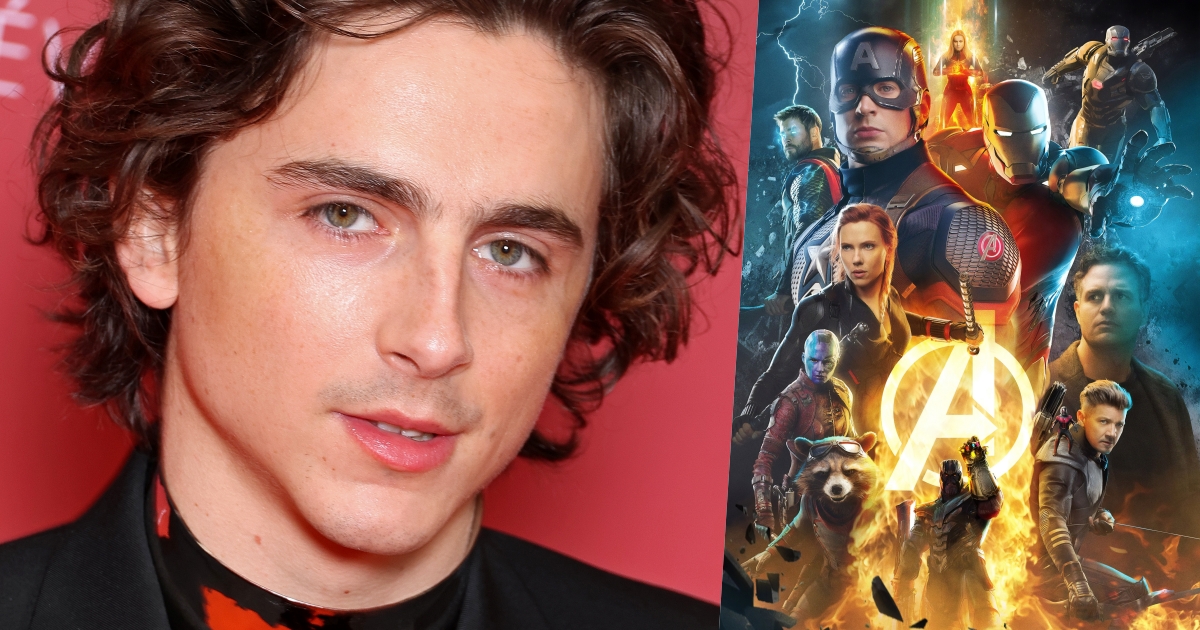 timothee chalamet marvel