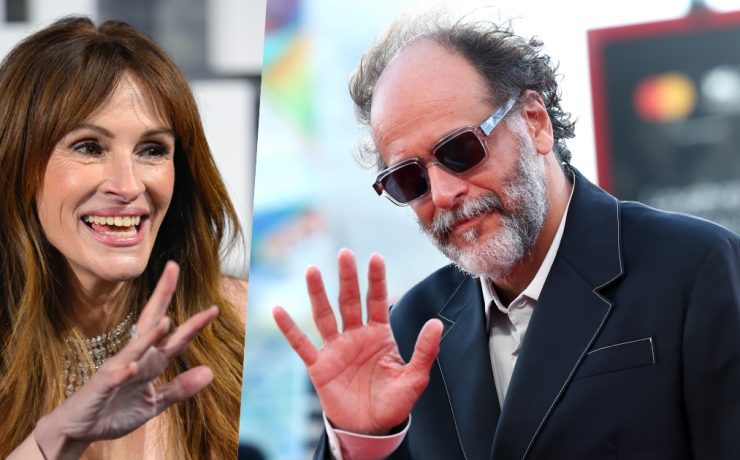 luca guadagnino julia roberts