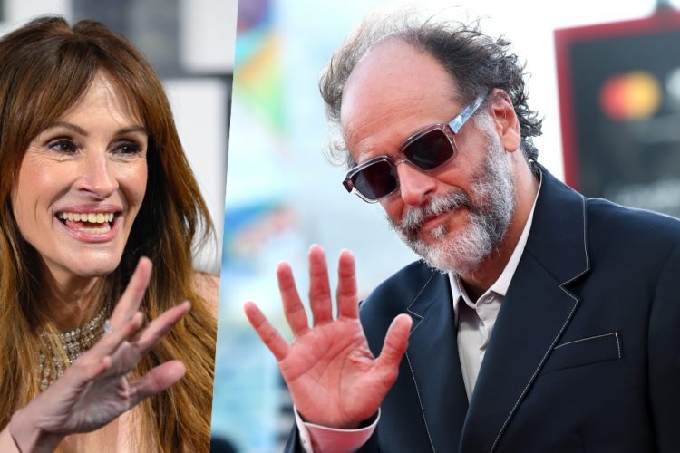 luca guadagnino julia roberts