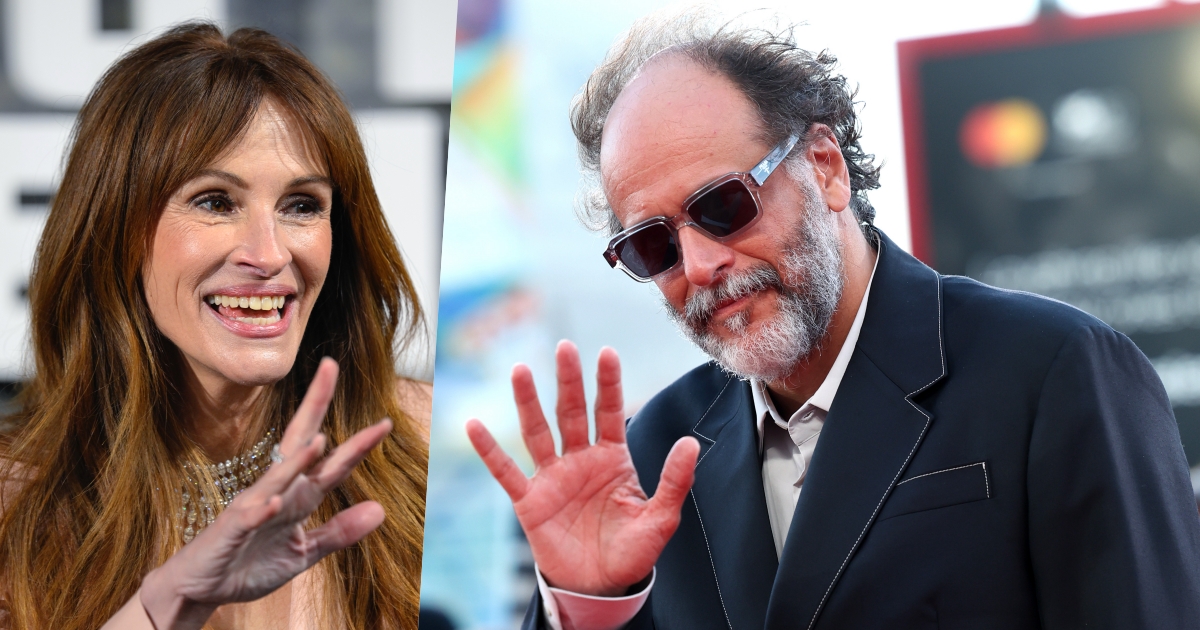 luca guadagnino julia roberts