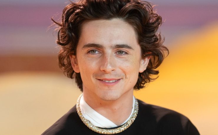 timothée chalamet alla premiere di Dune: Parte Due