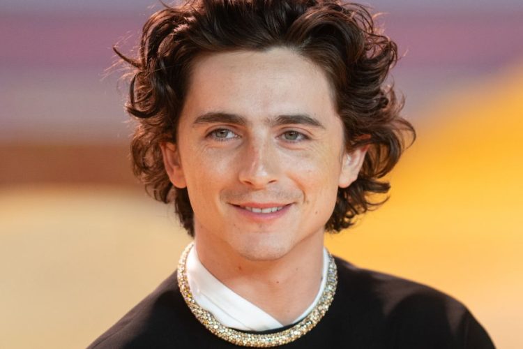 timothée chalamet alla premiere di Dune: Parte Due