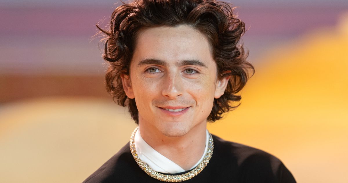 timothée chalamet alla premiere di Dune: Parte Due