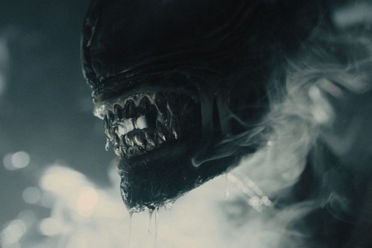 lo xenomorfo di alien: romulus