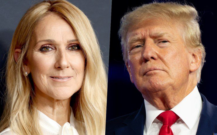 Collage Celine Dion e Donald Trump