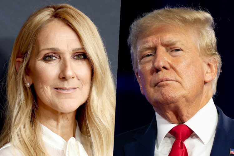 Collage Celine Dion e Donald Trump