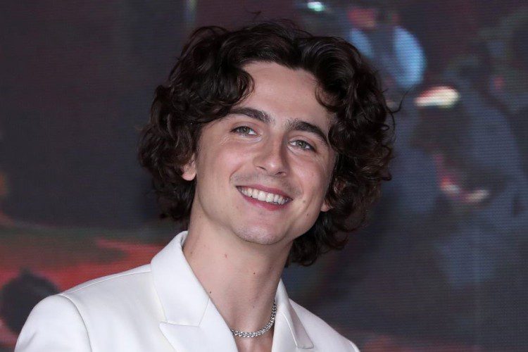 Timothée Chalamet alla premiere di Dune