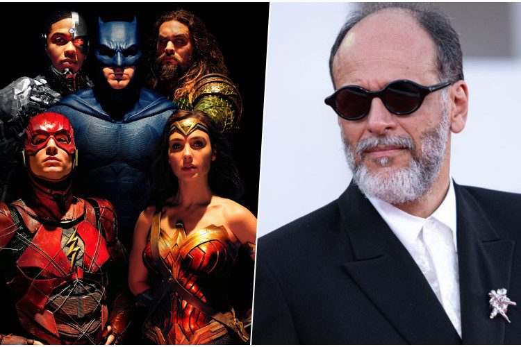 DC Universe Luca Guadagnino