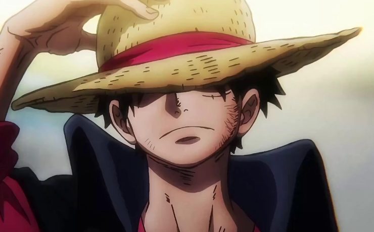 per cosa sta la d in one piece