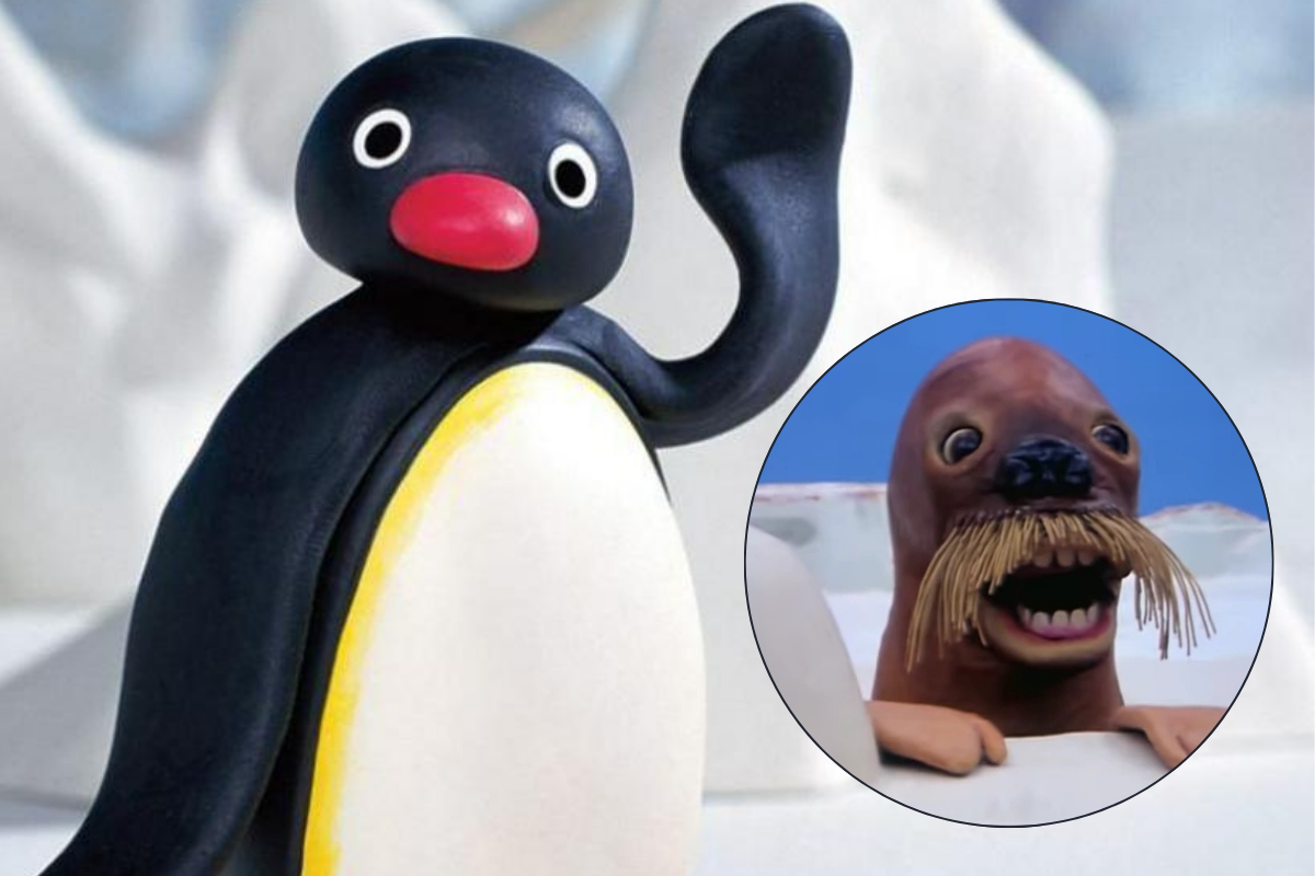 Pingu