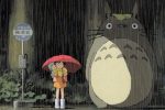 Il mio vicino Totoro di Hayao Miyazaki