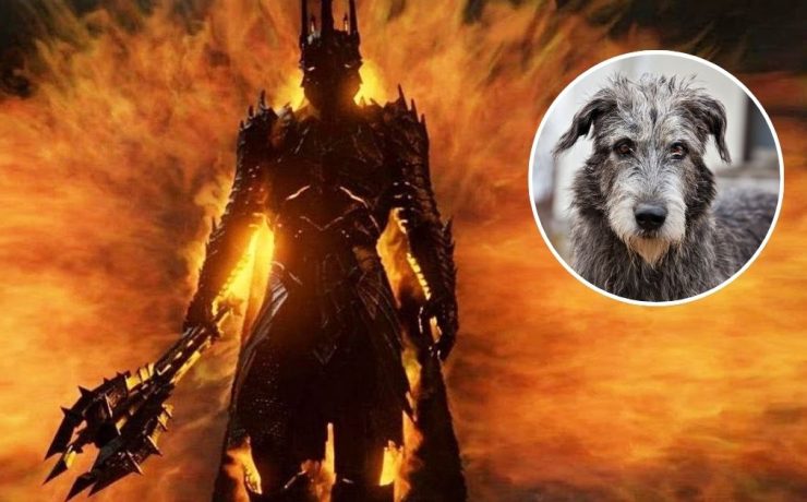 il signore degli anelli, sauron sconfitto da un cane