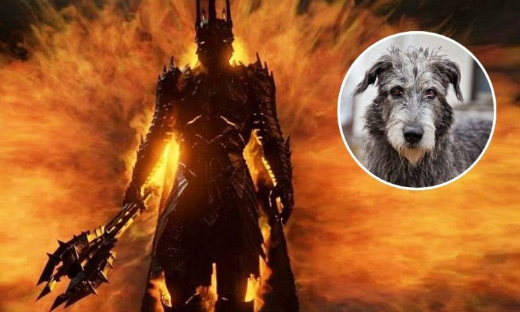 il signore degli anelli, sauron sconfitto da un cane