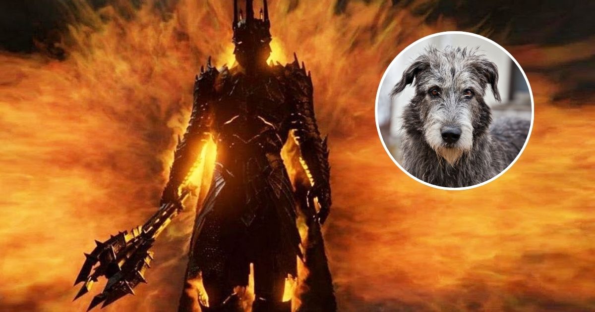 il signore degli anelli, sauron sconfitto da un cane