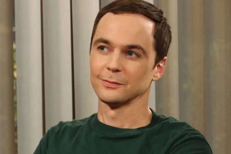 Un'immagine di Sheldon Cooper in The Big Bang Theory