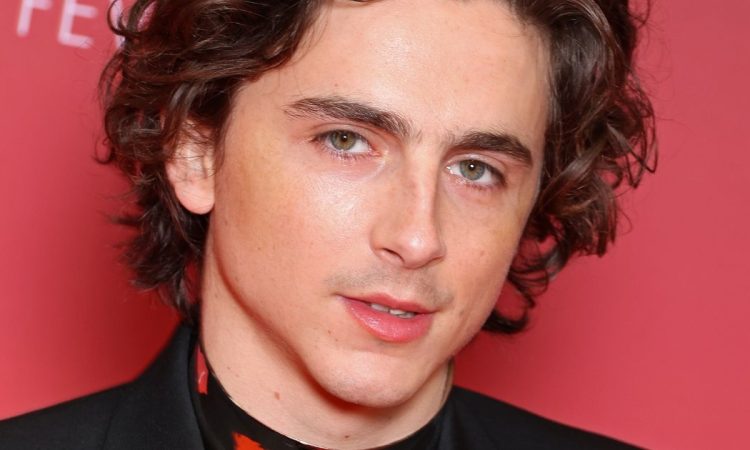 timothee chalamet