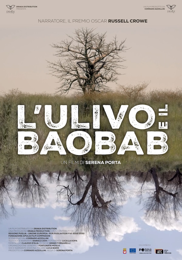 L’Ulivo e il Baobab