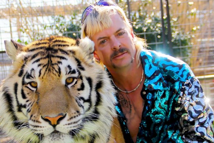 la star di tiger king su donald trump