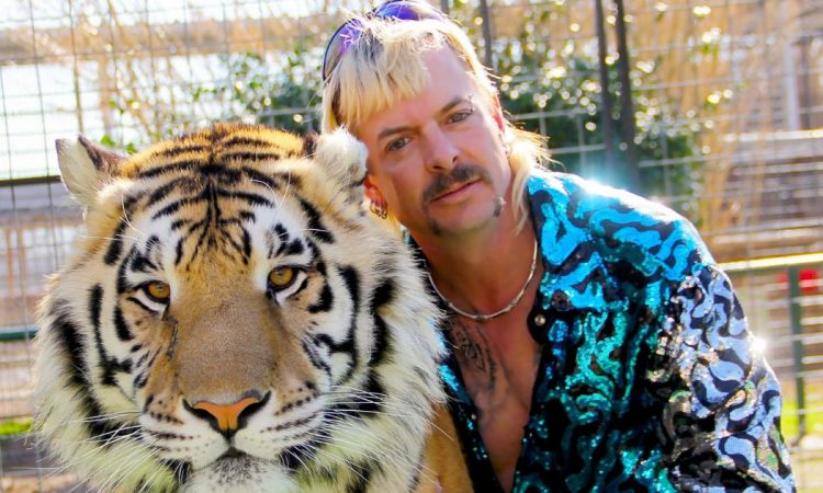 la star di tiger king su donald trump