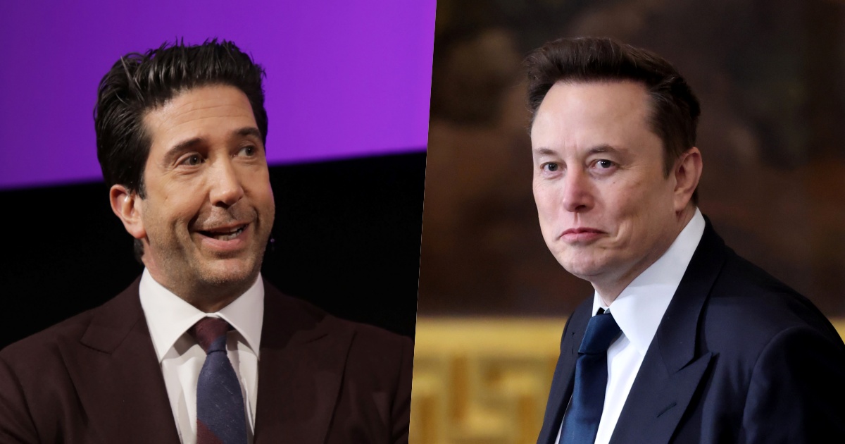 David Schwimmer e Elon Musk