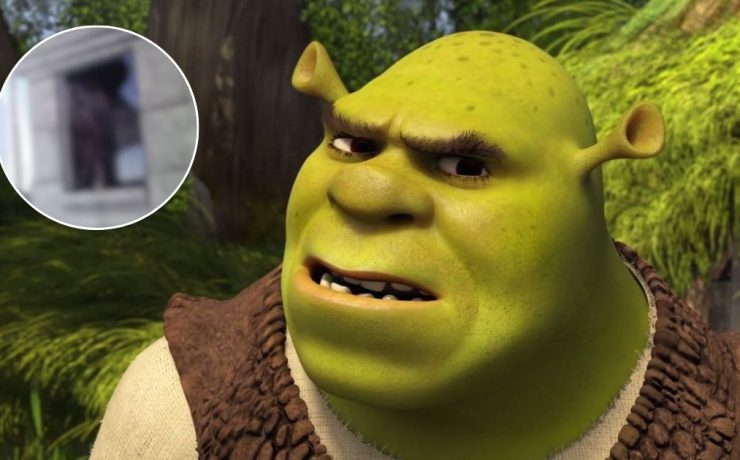 shrek, chi è la misteriosa donna nella foto?