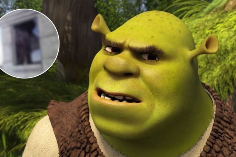 shrek, chi è la misteriosa donna nella foto?